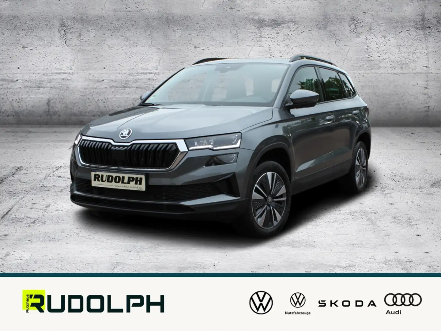Skoda Karoq 2.0 TDI Tour Grau - 1