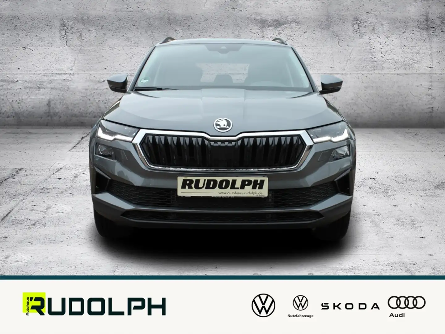 Skoda Karoq 2.0 TDI Tour Grau - 2