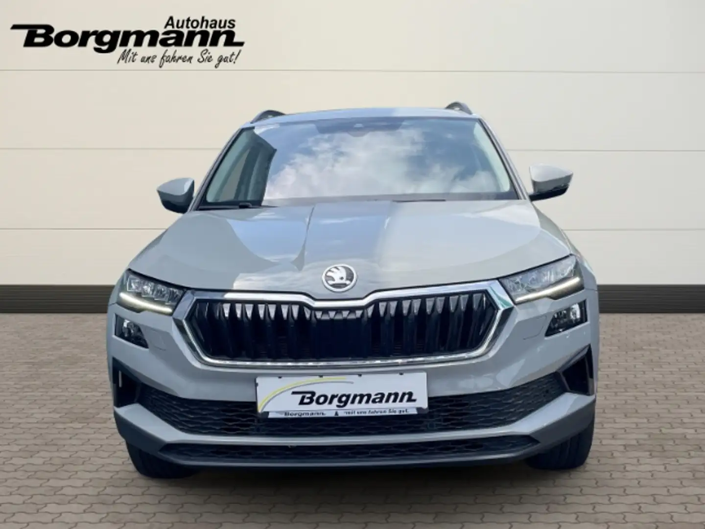 Skoda Karoq Tour 2.0 Ambition Allrad - Navi - Bluetooth - Rück Grey - 2