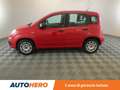 Fiat Panda 1.2 Easy Rosso - thumbnail 3
