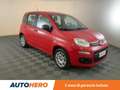 Fiat Panda 1.2 Easy Rosso - thumbnail 8