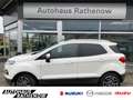 Ford EcoSport Titanium 1.0 EcoBoost Klimaautom SHZ Keyless Entry Blanc - thumbnail 1