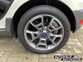 Ford EcoSport Titanium 1.0 EcoBoost Klimaautom SHZ Keyless Entry Blanc - thumbnail 9