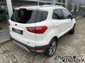 Ford EcoSport Titanium 1.0 EcoBoost Klimaautom SHZ Keyless Entry Blanc - thumbnail 5