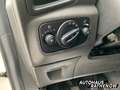Ford EcoSport Titanium 1.0 EcoBoost Klimaautom SHZ Keyless Entry Blanc - thumbnail 19