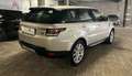 Land Rover Range Rover Sport 3.0 TDV6 HSE Bronze - thumbnail 7