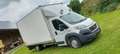 Fiat Ducato Maxi Koffer Transporter LKW bis 3.5t 6Gang - thumbnail 1