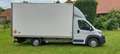 Fiat Ducato Maxi Koffer Transporter LKW bis 3.5t 6Gang - thumbnail 4
