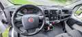Fiat Ducato Maxi Koffer Transporter LKW bis 3.5t 6Gang - thumbnail 6