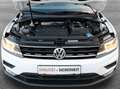 Volkswagen Tiguan 2,0TDI SCR Comfortline DSG*VIRTUAL*NAVI*PDC*SHZ... Weiß - thumbnail 22