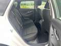 Hyundai i30 1.5 T-GDI Edition 30+ Mild-Hybrid Aut. Navi Weiß - thumbnail 11