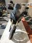 Triumph Tiger 1050 Schwarz - thumbnail 3