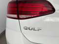 Volkswagen Golf 1.6 TDI 115 CV 5p. Business BlueMotion Technology Bianco - thumbnail 14