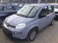 Fiat Panda 1.0 firefly hybrid 70 cv Grau - thumbnail 1
