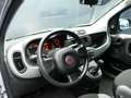 Fiat Panda 1.0 firefly hybrid 70 cv Grau - thumbnail 5