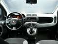 Fiat Panda 1.0 firefly hybrid 70 cv Grau - thumbnail 6