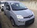 Fiat Panda 1.0 firefly hybrid 70 cv Grau - thumbnail 2