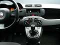 Fiat Panda 1.0 firefly hybrid 70 cv Grau - thumbnail 7