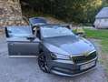 Skoda Superb Superb Kombi 2,0 TDI 4x4 Ambition DSG Ambition Grau - thumbnail 1