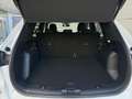 Ford Kuga 2,5 Duratec FHEV ST-Line X Aut. Weiß - thumbnail 7