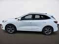 Ford Kuga 2,5 Duratec FHEV ST-Line X Aut. Weiß - thumbnail 5