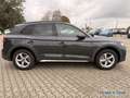 Audi Q5 40 2.0 TDI quattro MatrixOLED*SHZ*Pano*OffroadStyl Gris - thumbnail 3