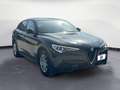 Alfa Romeo Stelvio 2.2 Td 190Cv Auto Q4 Business - autoone.it Grigio - thumbnail 1