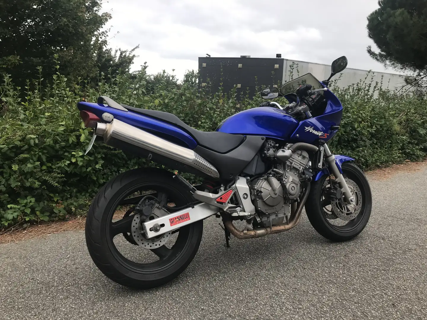 Honda Hornet Bleu - 2