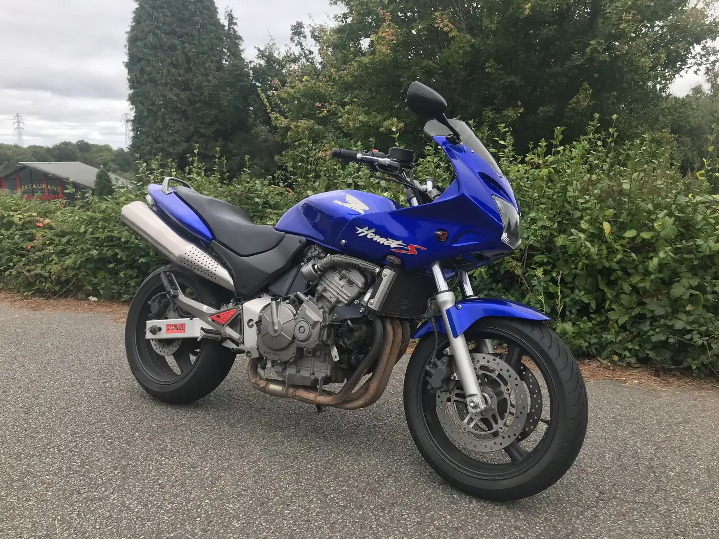 Honda Hornet Bleu - 1