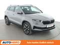 Skoda Karoq 2.0 TDI Style 4x4 Aut.*NAVI*CAM*VC* Grau - thumbnail 8
