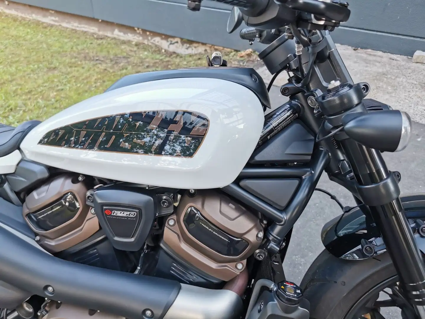 Harley-Davidson Sportster RH1250 Sportster S| TÜV NEU| seitl. KZ-Halter Alb - 2