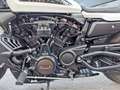 Harley-Davidson Sportster RH1250 Sportster S| TÜV NEU| seitl. KZ-Halter Alb - thumbnail 12