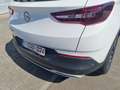 Opel Grandland X Grandland X 1.5 D Start/Stop Automatik INNOVATION Blanc - thumbnail 5