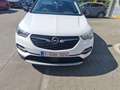 Opel Grandland X Grandland X 1.5 D Start/Stop Automatik INNOVATION Blanc - thumbnail 2