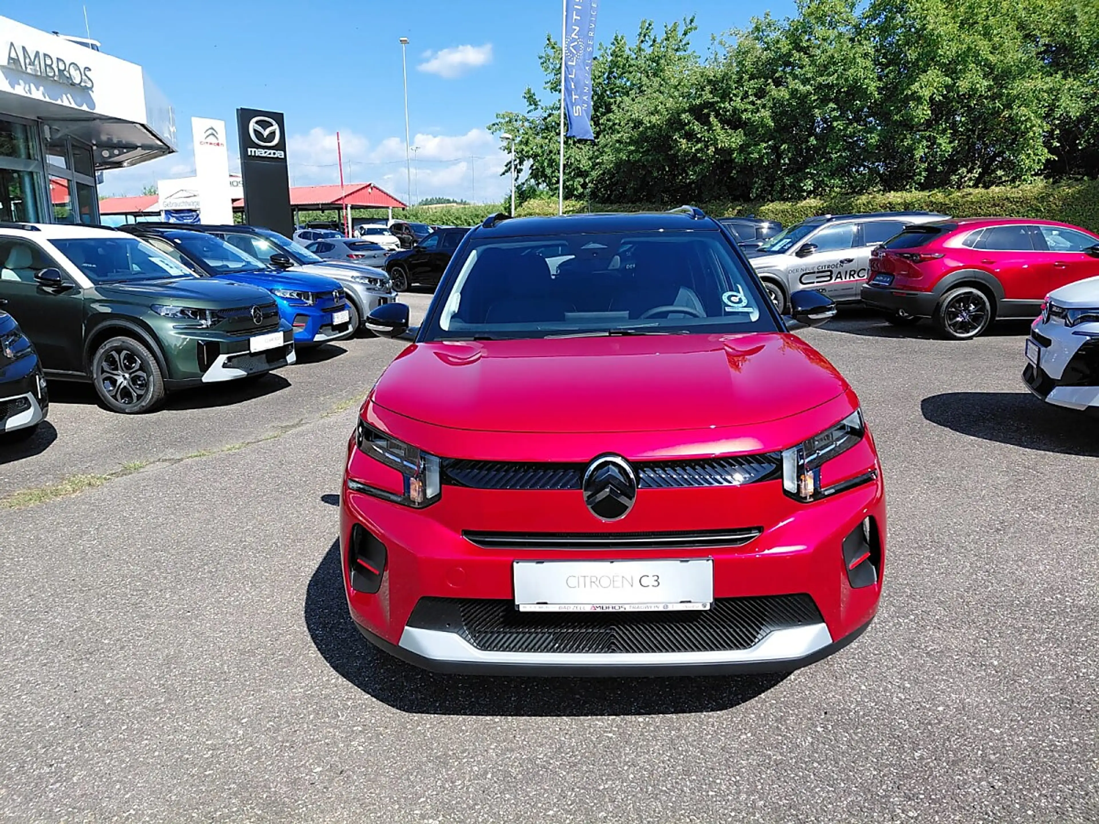 Citroen C3 e-C3 113 Standard Range 44kWh Collection LAGER-... — photo 6