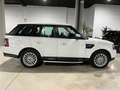 Land Rover Range Rover Sport 3.0SDV6 SE Aut. Weiß - thumbnail 5