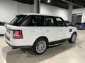 Land Rover Range Rover Sport 3.0SDV6 SE Aut. Weiß - thumbnail 14