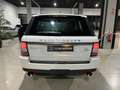 Land Rover Range Rover Sport 3.0SDV6 SE Aut. Weiß - thumbnail 16
