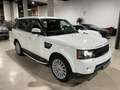 Land Rover Range Rover Sport 3.0SDV6 SE Aut. Weiß - thumbnail 2