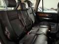 Land Rover Range Rover Sport 3.0SDV6 SE Aut. Weiß - thumbnail 12