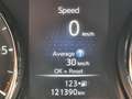 Nissan X-Trail 1.7 dCi Acenta 4x4-i Blanco - thumbnail 14