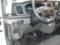 Ford FT350L2H2 Trend  TechP10 Garantie 5J Weiß - thumbnail 6