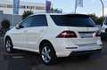 Mercedes-Benz ML 350 CDI BlueTEC AMG-LINE*GLASDACH*NAVI* Білий - thumbnail 7