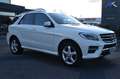 Mercedes-Benz ML 350 CDI BlueTEC AMG-LINE*GLASDACH*NAVI* Weiß - thumbnail 1