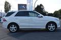 Mercedes-Benz ML 350 CDI BlueTEC AMG-LINE*GLASDACH*NAVI* Білий - thumbnail 3