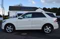 Mercedes-Benz ML 350 CDI BlueTEC AMG-LINE*GLASDACH*NAVI* Білий - thumbnail 4