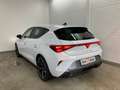 CUPRA Leon 1.5 TSI 150 PS ACT Weiß - thumbnail 5