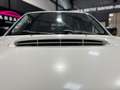 Isuzu D-Max 2.5 4WD CREW CAB L Blanc - thumbnail 28