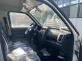 Piaggio Porter PORTER CHASSIS PASSO 3.070 GPL L.R. PLUS WHITE Blanco - thumbnail 14