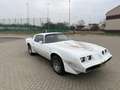 Pontiac Trans Am Blanco - thumbnail 3